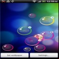 Notification Bubbles