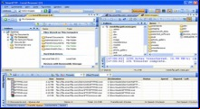 SmartFTP