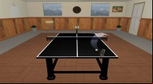 Table Tennis Pro