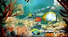 Tropical Fish 3D
