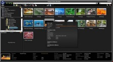 Snapact Photo Manager