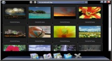 PicaSafe Express Photo Album