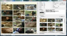 Scenegrabber.NET