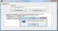 DNS Propagation Checker