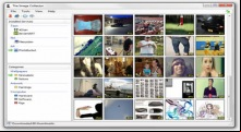 The Image Collector