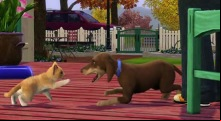 Les Sims 3 - Animaux & Cie