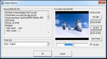 Freemore Video to GIF Converter