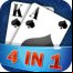 Card 4in1